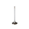 V5265 Stock Replacement Exhaust Valve - image 1