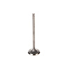 V5318 Stock Replacement Intake Valve - image 1