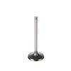 V5344 Stock Replacement Intake Valve - image 1