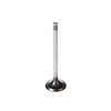 V5348 Stock Replacement Intake Valve - image 1