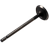 V5568 Stock Replacement Intake Valve Hyundai, Kia 2.7L - image 1