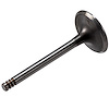 V5733 Stock Replacement Intake Valve Audi, Volkswagen 2.0L, 2.8L - image 1