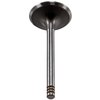 V5733 Stock Replacement Intake Valve Audi, Volkswagen 2.0L, 2.8L - image 4