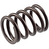 VS-1000 Stock Replacement Valve Spring - image 1