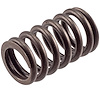 VS-1050 Stock Replacement Valve Spring - image 1