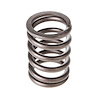 VS-1060 Valve Spring - image 1