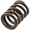 VS-1070 Stock Replacement Valve Spring - image 1