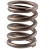 VS-1070 Stock Replacement Valve Spring - image 2