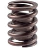 VS-1120 Valve Spring - image 2