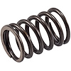 VS-120 Stock Replacement Valve Spring - image 1