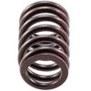 VS-1298 Valve Spring - image 3