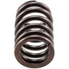 VS-1298 Valve Spring - image 4