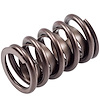 VS-160 Stock Replacement Valve Spring - image 1