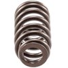 VS-1700 Replacement Valve Spring Fits Select GM Models w/3.0L, 3.6L V6 Engines - image 3