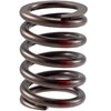 VS-2215 Stock Replacement Valve Spring - image 2