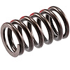 VS-2229 Stock Replacement Valve Spring