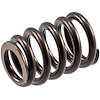 VS-2231 Stock Replacement Valve Spring - image 1