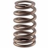 VS-2246 Stock Replacement Valve Spring - image 2