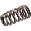 VS-2247 Stock Replacement Valve Spring - image 1
