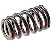 Valve Spring - image 1