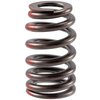 Valve Spring - image 2