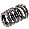 VS-2259 Stock Replacement Valve Spring - image 1