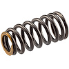 VS-2280 Stock Replacement Valve Spring Hyundai, Kia 1.6L - image 1