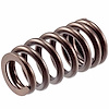 VS-2490 Stock Replacement Valve Spring - image 1