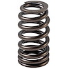 VS-2495 Valve Spring fits 2012-2024 Models w/2.0L, 2.3L Engines - image 1