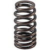 VS-2496 Valve Spring fits 2019-2023 Ford Models w/2.0L, 2.3L, 2.5L Engines - image 1