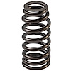 VS-2507 Stock Replacement Valve Spring Lexus, Toyota 2.0L, 2.5L