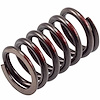 VS-310 Stock Replacement Valve Spring - image 1