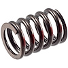 VS-800 Stock Replacement Valve Spring - image 1