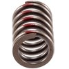 VS-840 Stock Replacement Valve Spring - image 3