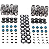 VSK461219-G4 High Performance Valve Spring Sold by Dimension - image 1