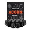 STEEL ACORN LUG NUTS - image 1
