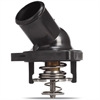 Racing Thermostat & Housing - image 1