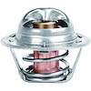 Racing Thermostat - image 1