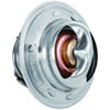 Racing Thermostat - image 2