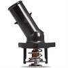Racing Thermostat & Housing - image 1