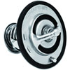 Racing Thermostat - image 2