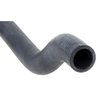 10135651 1988-89 Corvette, Lower Radiator Hose - image 4