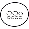 Power Steering Pump O-Ring Seal Kit Saginaw Pump - image 1