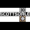 14026447 Front Fender Emblem 1981-87 Chevrolet Truck; Scottsdale 30; Each; GM Licensed - image 2