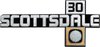 14026447 Front Fender Emblem 1981-87 Chevrolet Truck; Scottsdale 30; Each; GM Licensed - image 3