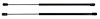 153369 1998-02 Firebird, Hood Lift Support - image 1