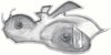 Trunk Lid Super Bee Emblem 1969 Dodge Super Bee - image 2