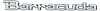 Barracuda Door/Tail Panel Emblem 1971-1974 Barracuda - image 1