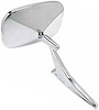 Door Mirror RH Mirror