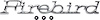 486904 Front Fender Emblem for 1971-1981 Pontiac Firebird - image 1